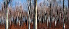 DSC_3893mov.jpg